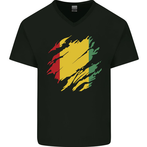 Bandiera del guinea shirt in - del, t-shirt