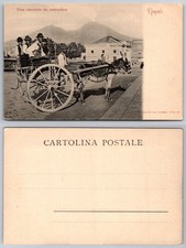 Cartolina Napoli Asino