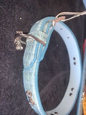 collare in pelle per cane