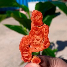 Campioni minerali marini 9G