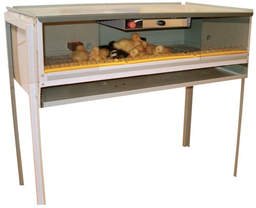 Gabbia calda allevatrice - gabbia,