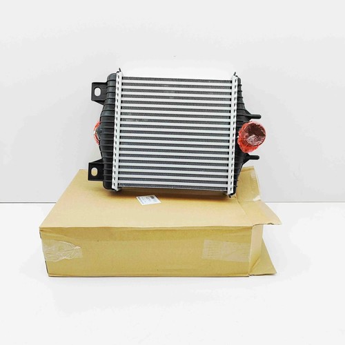 Radiatore intercooler land - radiatore,