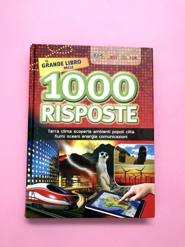 Grande libro delle 1000 - grande,