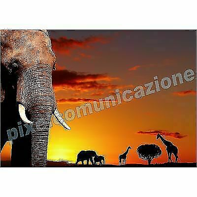 Quadri moderni poster arredo - poster,