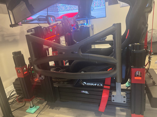 Roll cage laterale - cage, sim