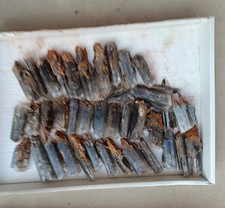 Minerali Cristalli Gesso Dei