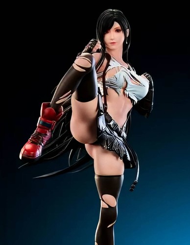 Garage kit tifa muay thai - muay, kick