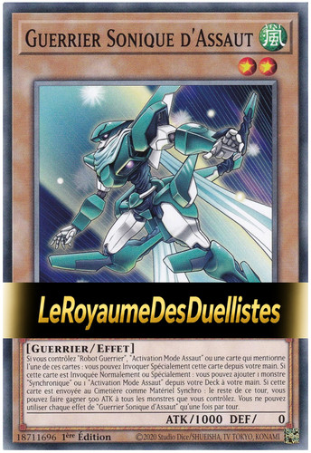Guerrier sonique - guerrier,