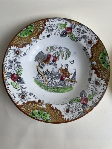 Piatti musso beltrandi - ,