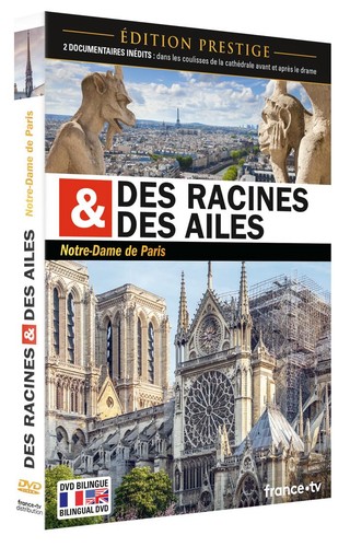 Des racines - et,