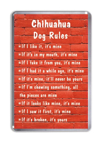 Chihuahua dog rules funny - rules,,