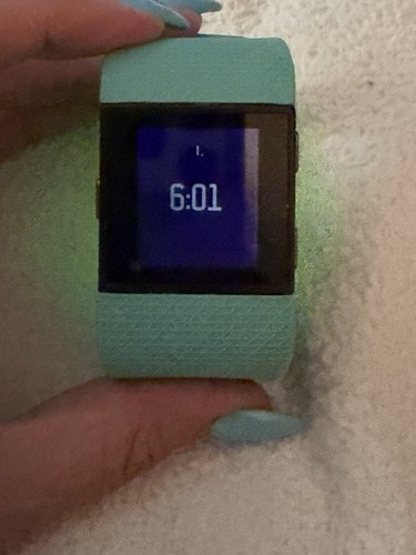 Fitbit surge fitness - fitbit,