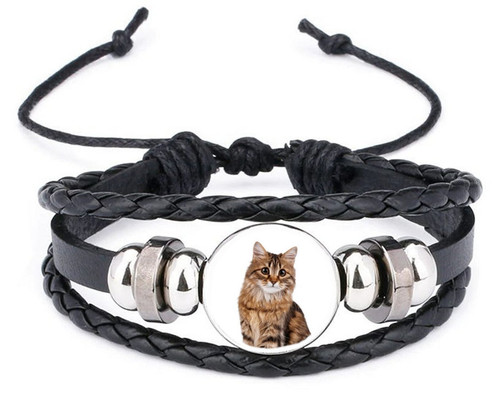 Siberian cat pet - siberian, black