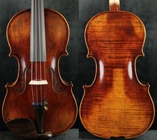 Favoloso maestro violino