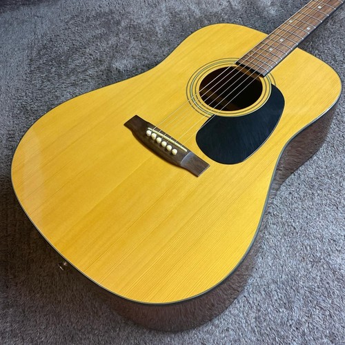 Takamine chitarra - t-1n,