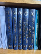 Trattato di Anatomia Umana