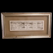 SINDONE RELIQUIA FOTOGRAFIA