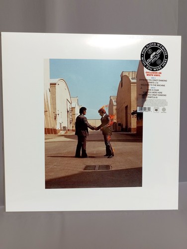 Pink floyd wish - -, you