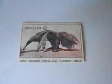 FIGURINA SAFARI N. 3 - ED. MONTRIOL ANNI 60