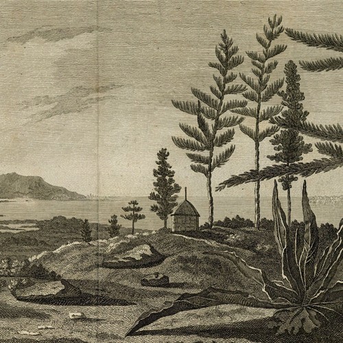James cook nouvelle calédonie - james,