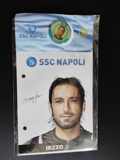 NAPOLI COLLEZIONE  SPILLE