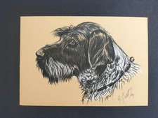 SPINONE RAZZE CANINE