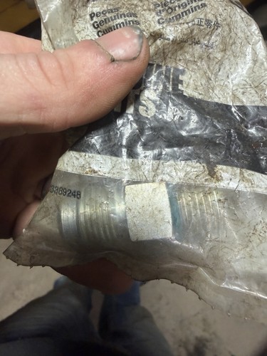 Cummins 3348332 oem nuovo - cummins,