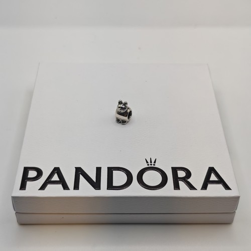 Pandora gatto gattino - gattino,
