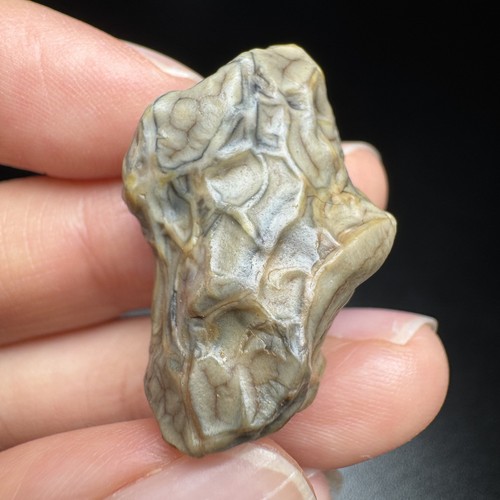 Agata venosa grezza alxa - agata, gobi