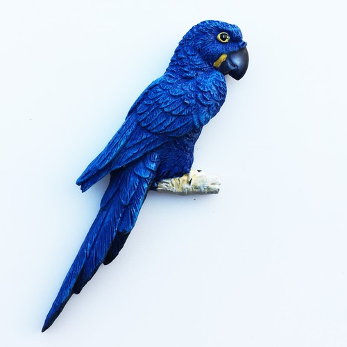 Bolivia macaw blue parrot - bolivia,