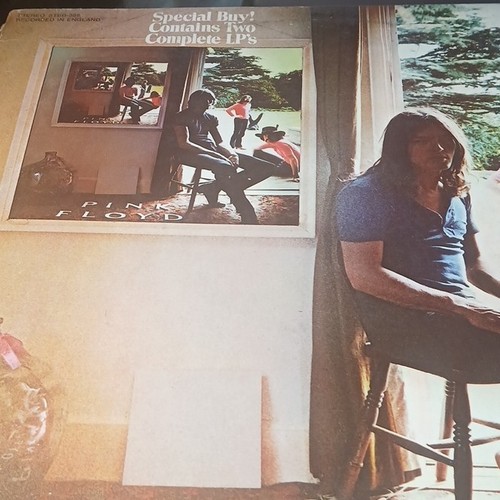 Pink floyd ummagumma - pink,