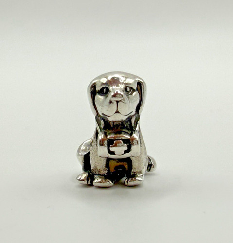 Originale pandora cane - cane, da