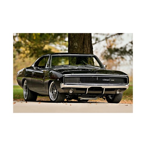 Dodge charger shades of - charger,,