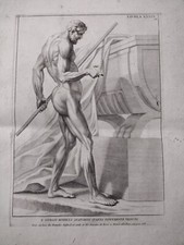 Anatomia scorticato de Rossi
