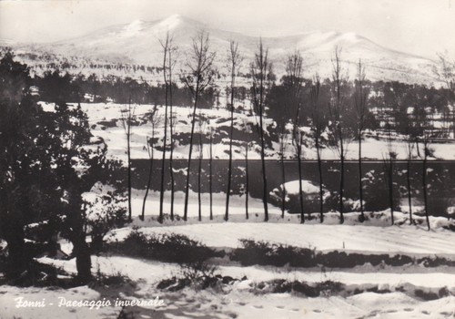 Fonni paesaggio invernale - paesaggio,