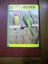 Quadernino a quadretti grandi - nel mondo della natura - pappagalli
