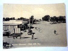 PUNTA MARINA Viale della Pace CARTOLINA Fto grande BN Viaggiata 1960