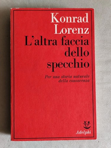 Altra faccia dello specchio - faccia,