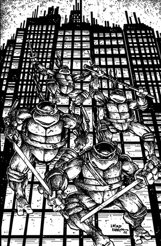 Teenage mutant ninja turtles - teenage,