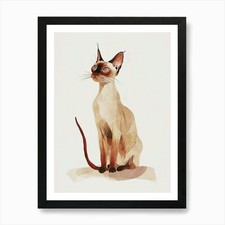 Illustrazione clipart gatto