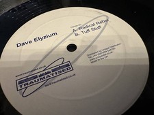 12  Dave Elyzium/ Radical