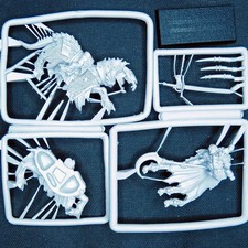 GW - Vampire Counts - montato