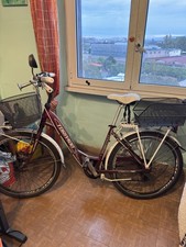 Bici da strada Torpado Freedom