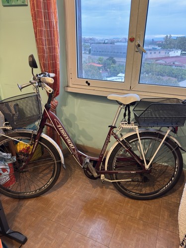 Bici strada torpado - da,