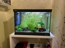 acquario 70lt completo di mobile usato di 2 anni. Misura 61 lar.  31 pr.  44 h