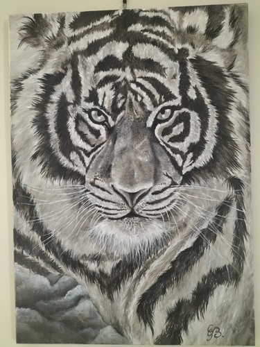 Quadro moderno - quadro, (tigre)