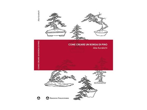 Come creare bonsai pino - creare,