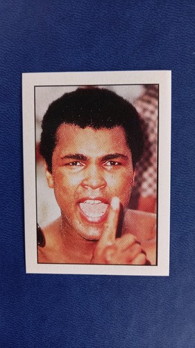 Figurina cassius clay - figurina,