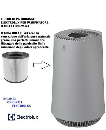 Filtro purificatore aria