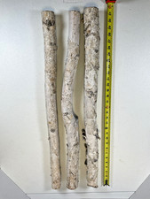 3 tronchi di betulla vintage